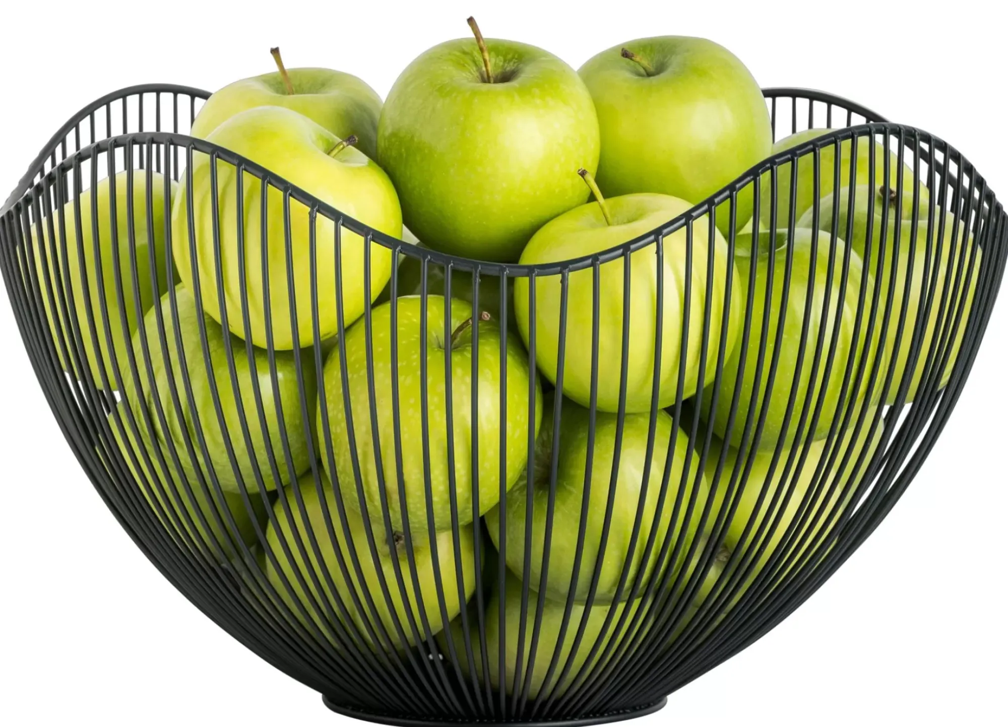 CASA Aster Frutero Negro Store