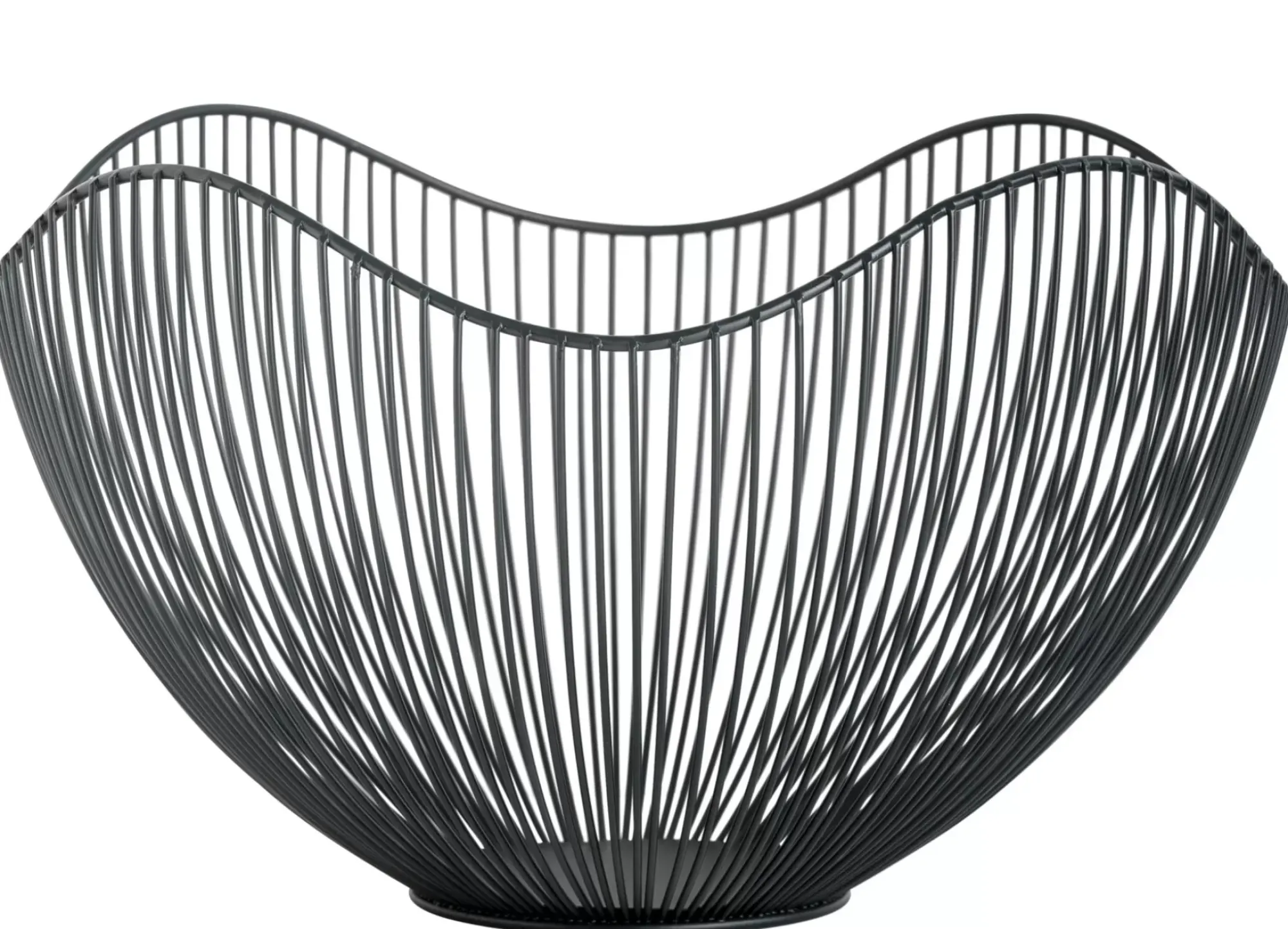 CASA Aster Frutero Negro Best Sale