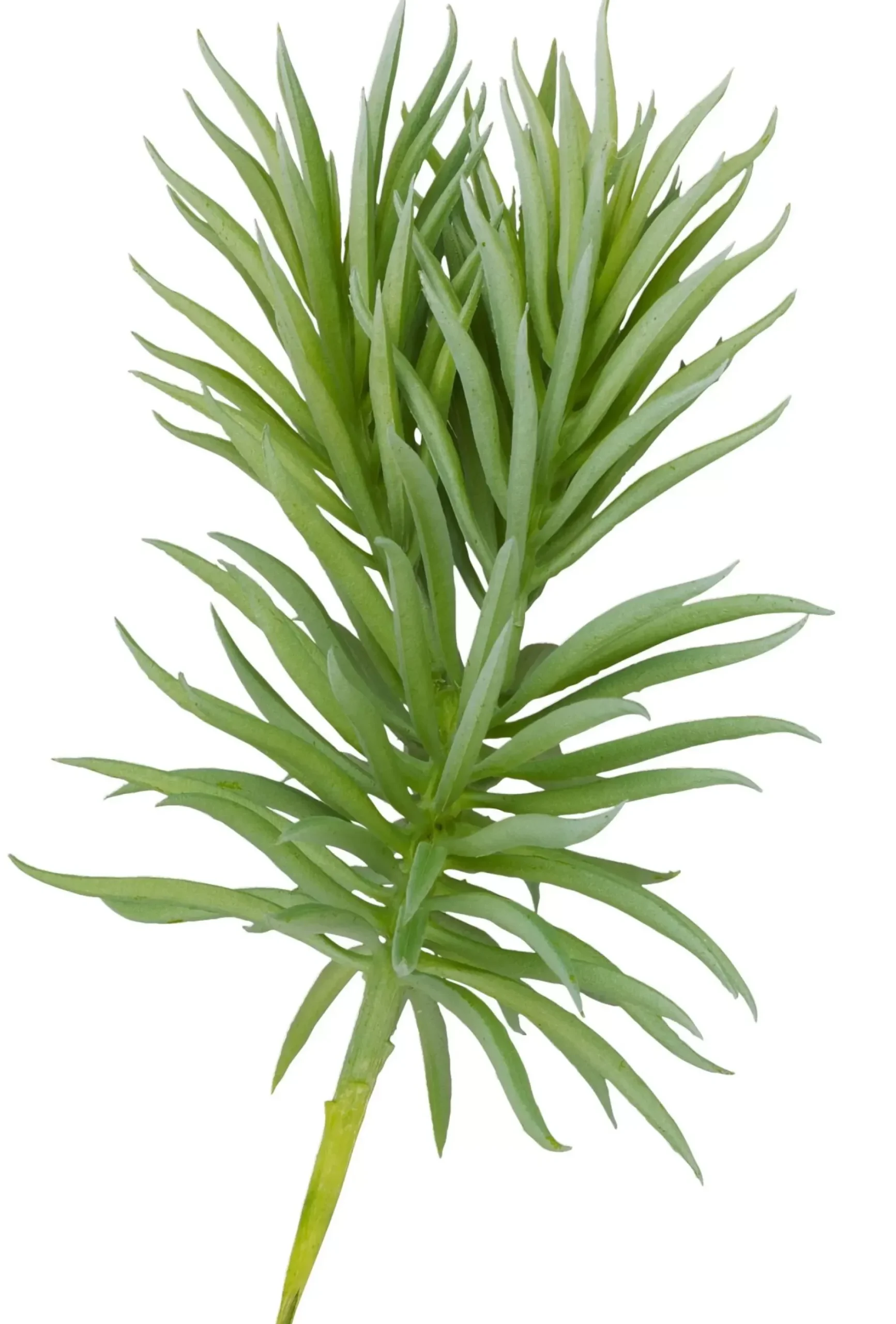 CASA Atacama Rama Sintetico Gris Discount