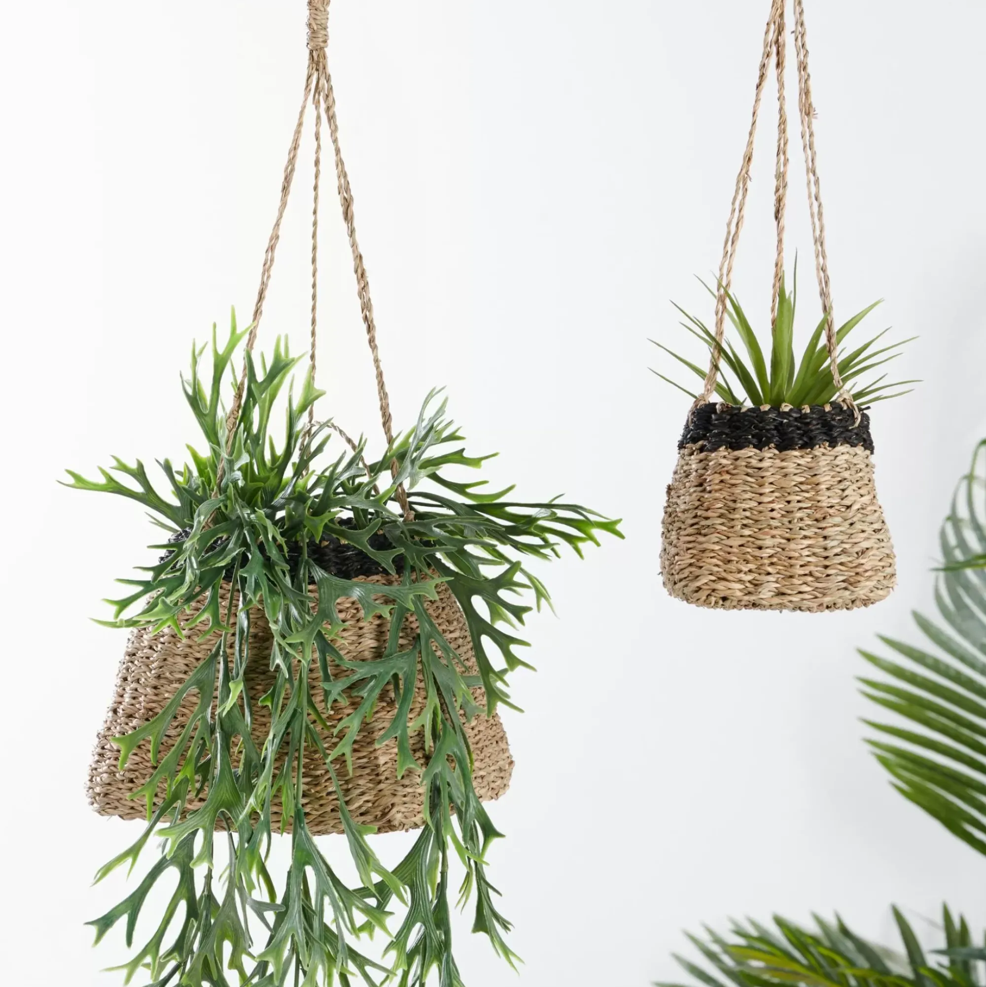 CASA Baku Macetero Colgante Negro, Natural Fashion