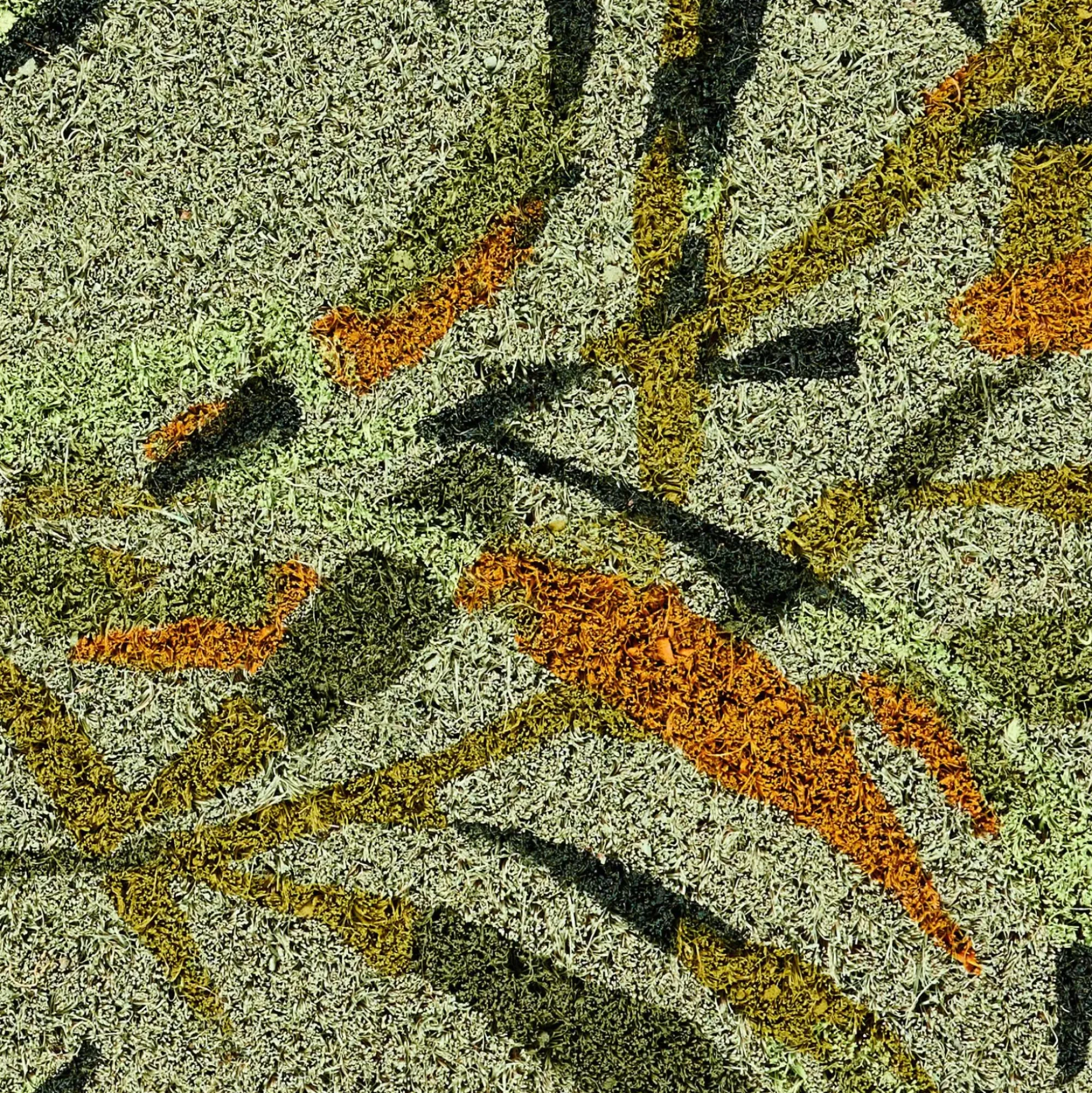 CASA Bambou Felpudo Verde Best Sale