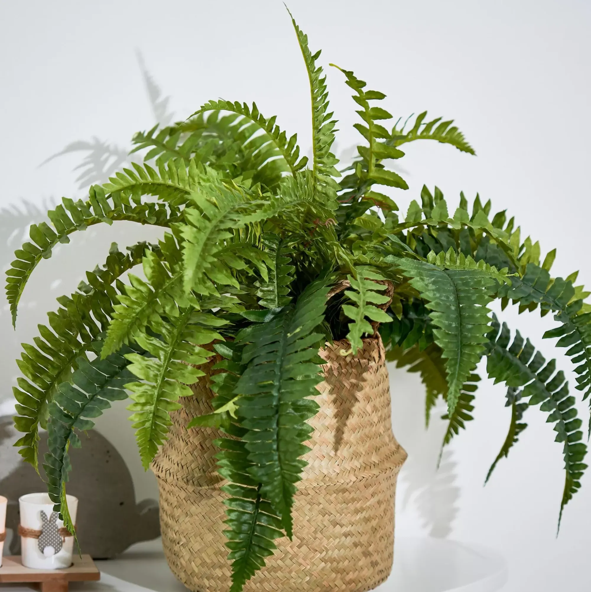 CASA Boston Planta Helecho Verde Online