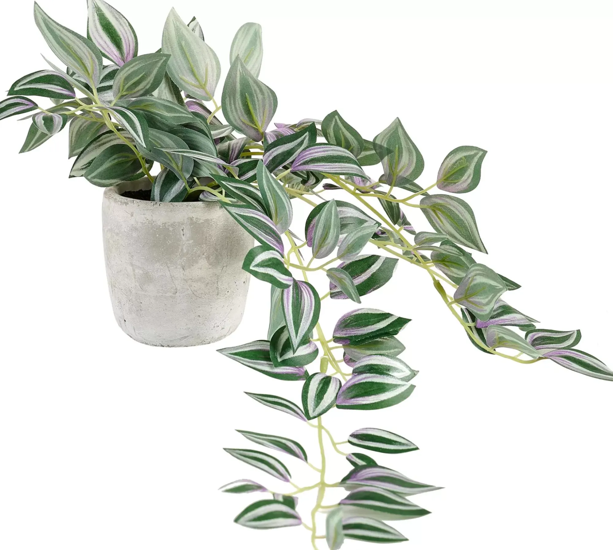 CASA Calathea Planta Colgante Gris, Verde, Morado New