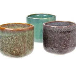 CASA Cassis Taza Verde Fashion