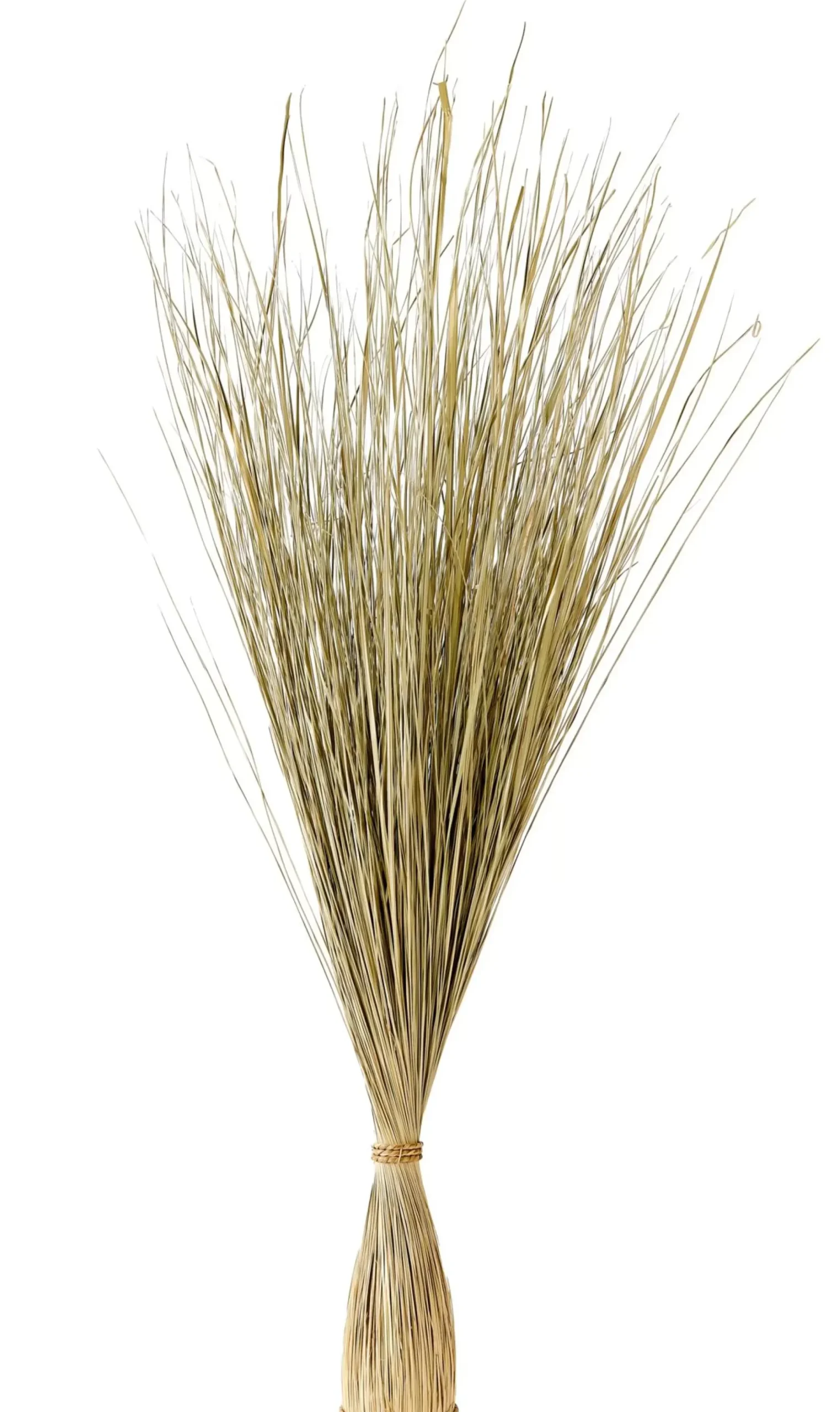 CASA Cogon Haz De Hierba Natural Cheap