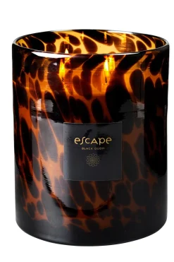 CASA Escape Black Oudh Negro, Marron, Ocre Hot