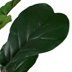 CASA Figi Negro, Verde Oscuro New