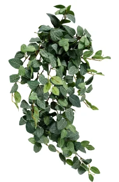 CASA Fittonia Guirnalda De Hojas Verde Clearance