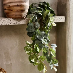 CASA Fittonia Guirnalda De Hojas Verde Clearance