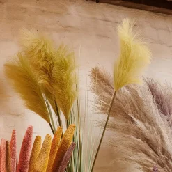 CASA Grass Cana Con Pluma Verde Outlet