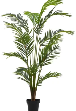 CASA Kwai Palma Verde Online