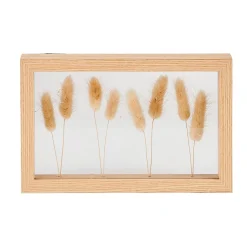 CASA Lagurus Decoracion De Pared Natural Clearance