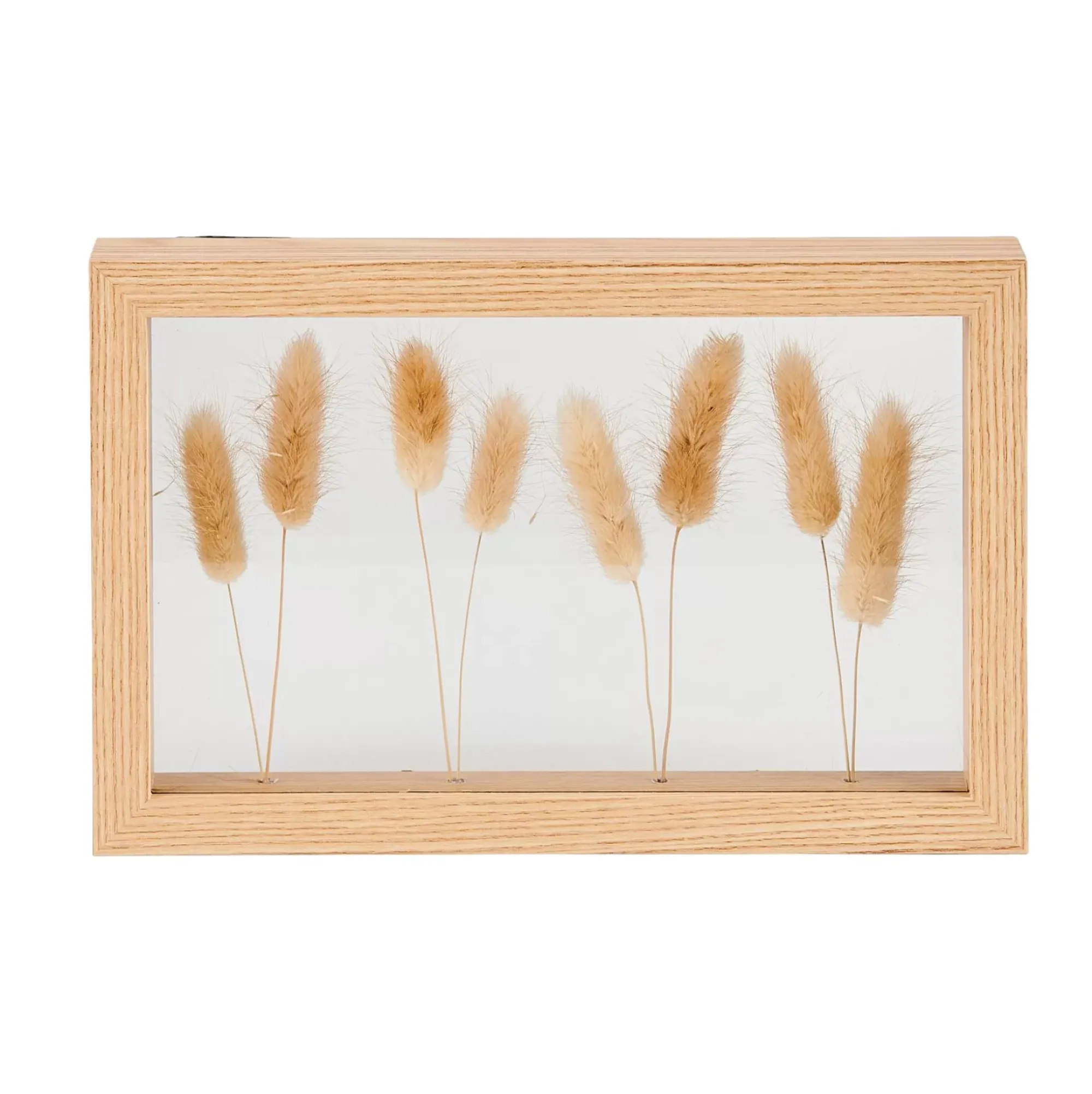 CASA Lagurus Decoracion De Pared Natural Outlet