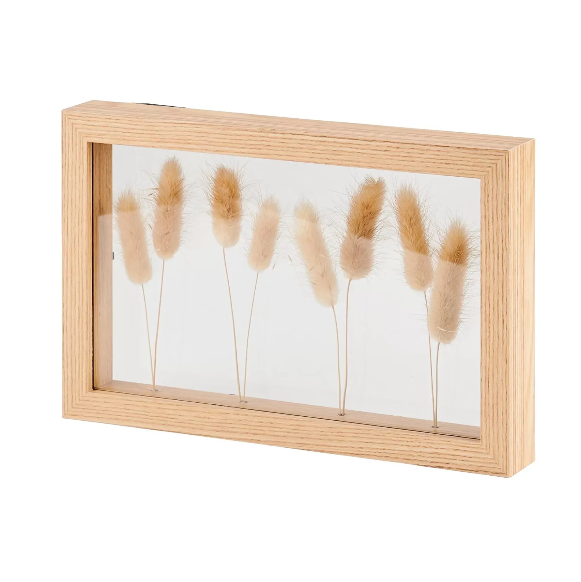 CASA Lagurus Decoracion De Pared Natural Outlet