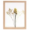 CASA Limonium Decoracion De Pared Natural Sale