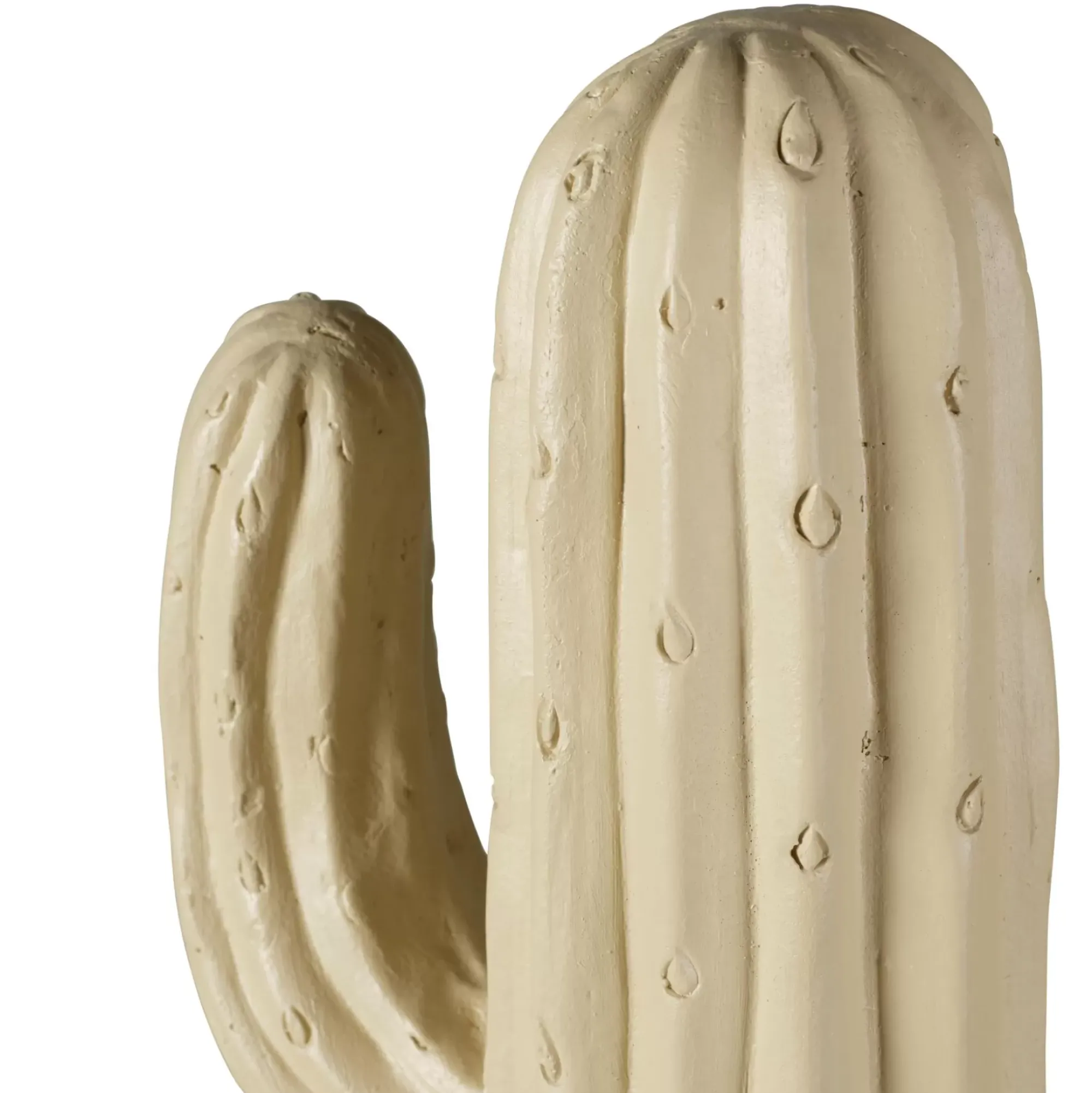 CASA Magnesia Cactus Crema Best Sale