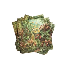 CASA Moss Paquete De 20 Servilletas Multicolor Discount