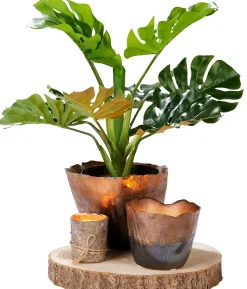 CASA Paulo Fuente Natural Hot