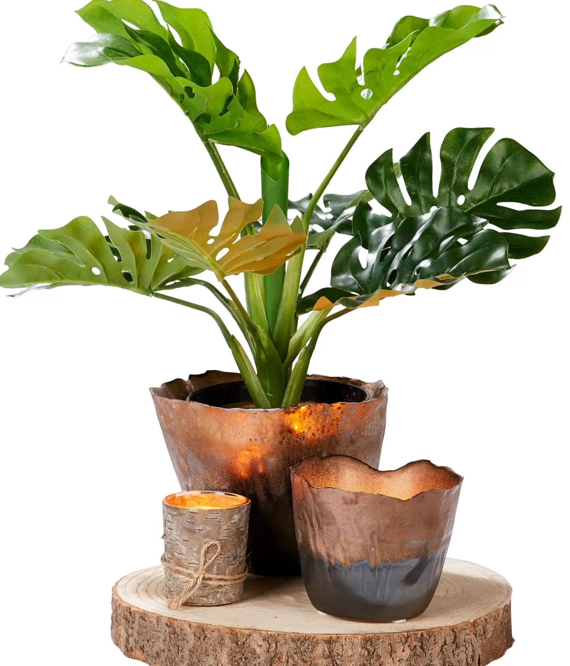 CASA Paulo Fuente Natural Hot