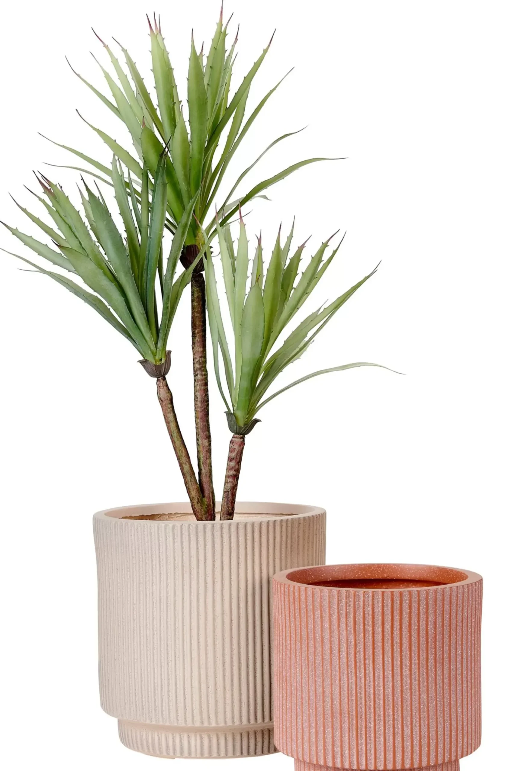 CASA Roma Creme Macetero Crema Online