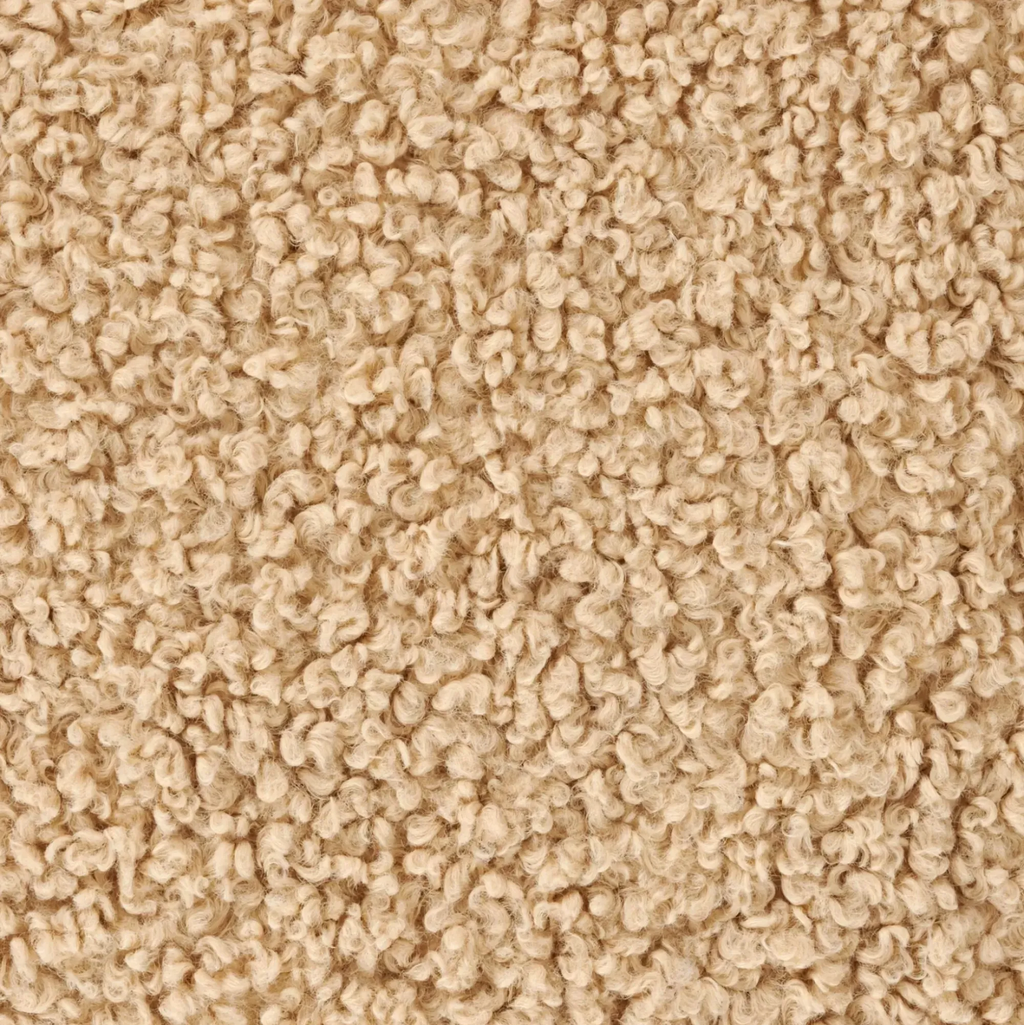 CASA Shaun Cojin Beis Hot