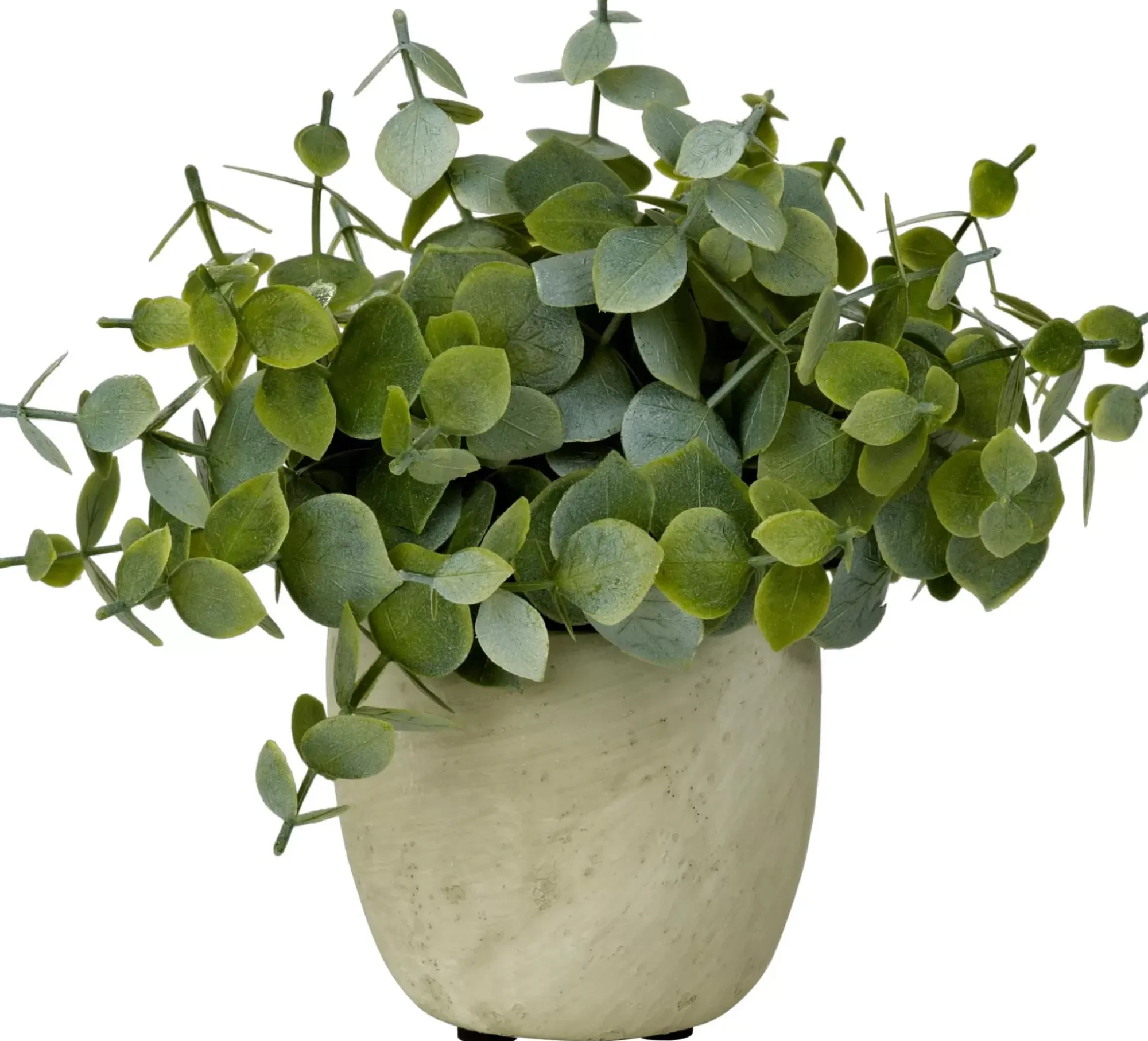 CASA Terra Planta En Maceta Blanco, Verde Cheap