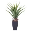 CASA Vera Planta Aloe Vera Verde Clearance