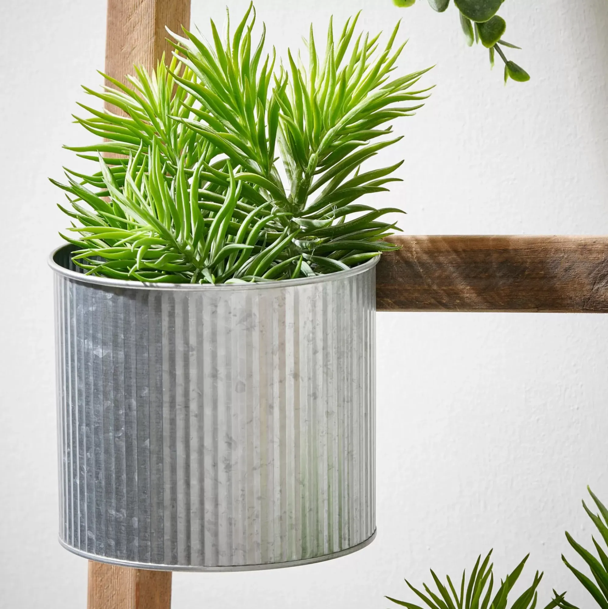 CASA Zinc Macetero Colgante Online